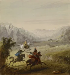 Der Grizzlybär