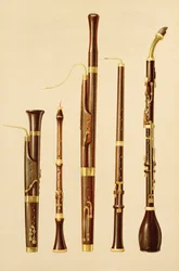 Ein Dulzian, eine Oboe, ein Fagott, eine Oboe da caccia und ein Bassetthorn, aus „Musical Instruments“