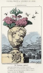 Die Hortensie: Karikatur auf Edmond About (1828 - 1885) - Illustration vom 19.01.1871 in „Blumen, Früchte und Gemüse des Tages“