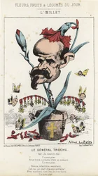 Die Nelke: Karikatur über General Louis Jules Trochu (1815 - 1896) - ill. vom 11.01.1871 in „Blumen, Früchte und Gemüse des Tages“