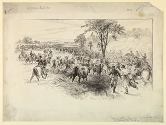 Der Viehraub durch die konföderierte Kavallerie