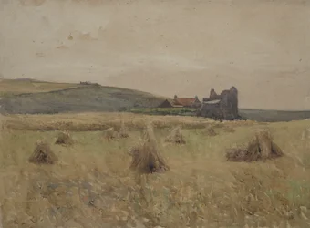 Weizenfeld