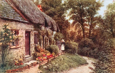 Häuser in Studland