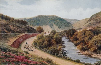 Rhayader am Wye