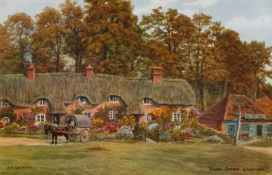 Swan Green, Lyndhurst