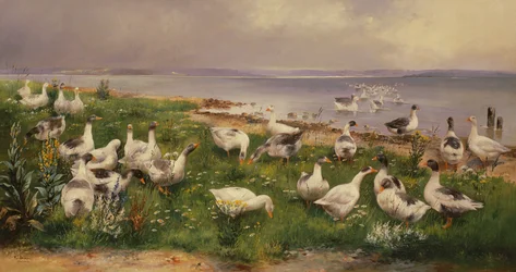 Gänse