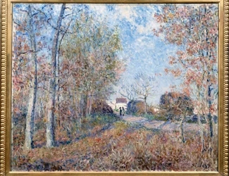 Eine Ecke des Waldes mit Sablons oder der Weg zum Waldrand (Waldkante von Fontainebleau, in der Nähe von Moret-sur-Loing)