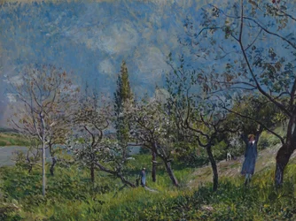 Obstgarten im Frühling