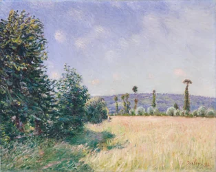 Sahurs Wiesen im Morgensonnenschein, 1894