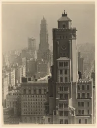 [Vom Shelton nach Norden blickend]