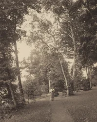 Hedwigspfad, Oaklawn, Lake George