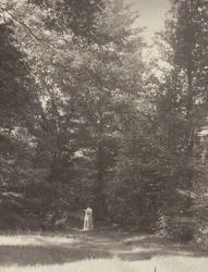 „Hedwigsweg“ II, Lake George