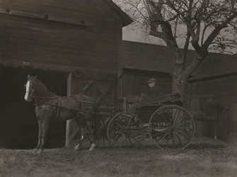 Pferd und Wagen