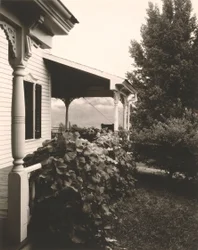 Haus und Weinblätter