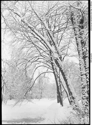 Schneelandschaft, Berlin
