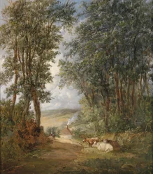 Waldlandschaft mit rastenden Kühen im Vordergrund