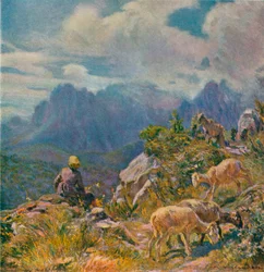 Weiden in den Apuanischen Alpen
