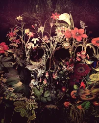 Dunkler Blumen-Schädel