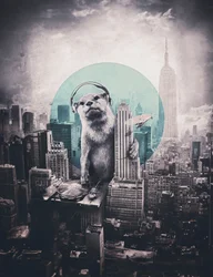 Städtischer Otter-DJ