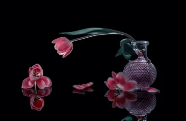 Elegante Rosa Tulpen