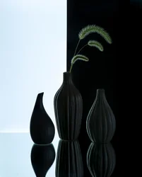 Elegante Vasen mit Gras