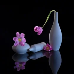 Reflektierte Lila Tulpen