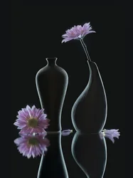 Gelassene Blumenreflexionen