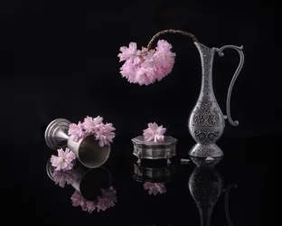 Silber und Sakura