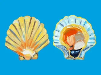 Goldene Jakobsmuschelschalen