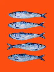 Sardinen auf Orange