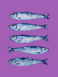 Lebendige blaue Sardinen