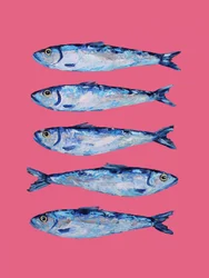 Lebendige Sardinen auf Pink