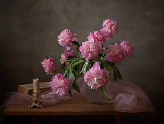 Pinke Pfingstrose Stillleben