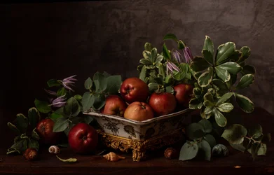 Rustikales Obst-Stillleben