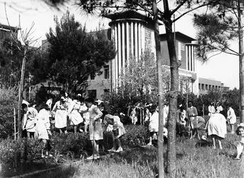 Villa Rosa Maltoni Mussolini: Schüler arbeiten im Gemüsegarten