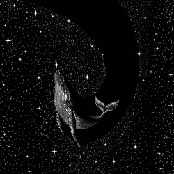Kosmischer Wal