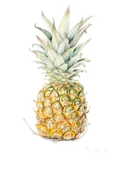 Reife Ananas, Aquarell, 2016