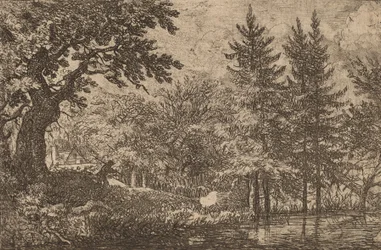 Tannen am Wasser, wahrscheinlich ca. 1645-1656