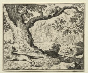 Reynard der Fuchs: Die illoyale Katze