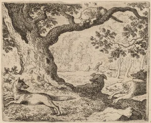 Reynards Vater und die von Hunden verfolgte Katze