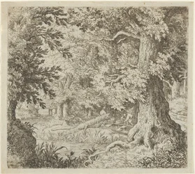 Der Bach im Wald, 17. Jahrhundert