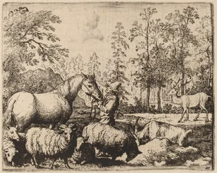 Das Pferd und der Hirsch