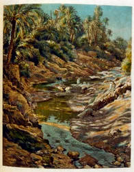 Illustration von Dinet aus 