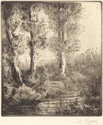 Ufer des Saint-Pre (Rive du Saint-Pre)