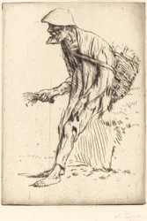 Hirtentäschelhändler