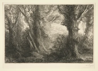 Im Wald von Conteville