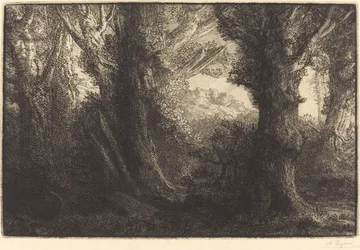 Im Wald von Conteville (Dans la forêt de Conteville)