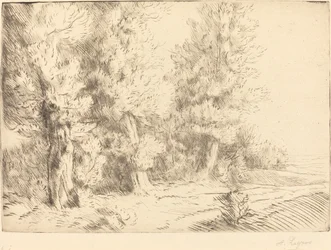 Im Wald von Fontainebleau