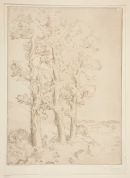 La liseuse: La lecture sous les arbres (Lesende Frau: Lektion unter den Bäumen)