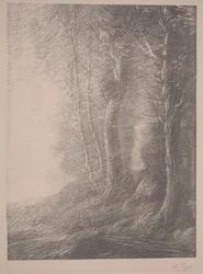 Landschaft